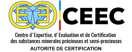 LOGO-CEEC-2024-FIN_Plan-de-travail-1-copie-9